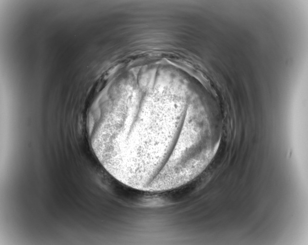 X0000086030704200704091132