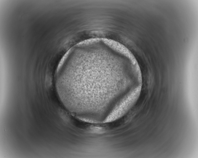 X0000086030706200704091132