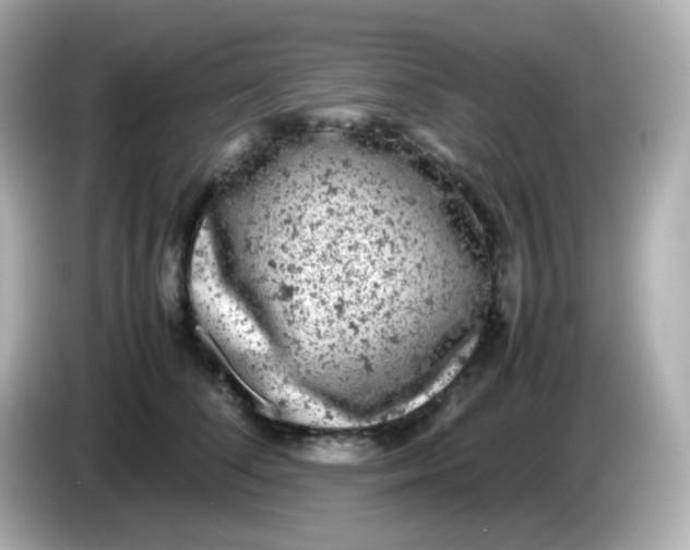 X0000086030708200704091132