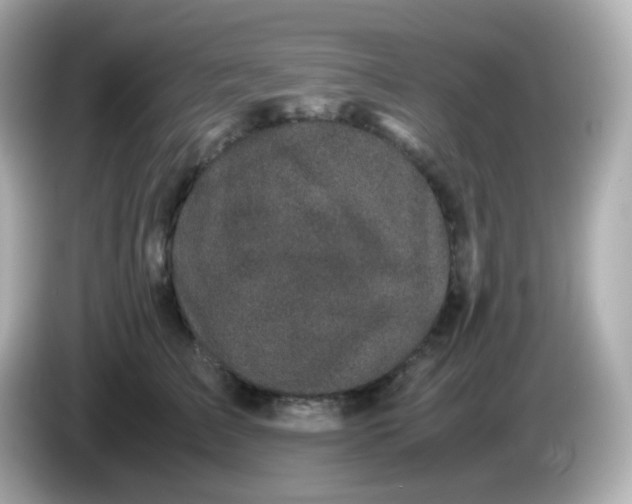 X0000086030709200704091132