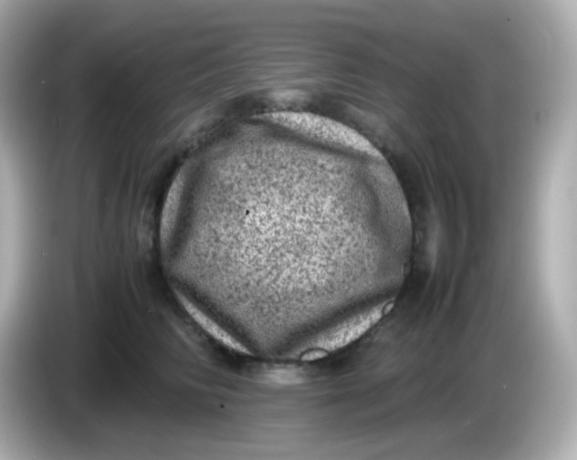 X0000086030710200704091132