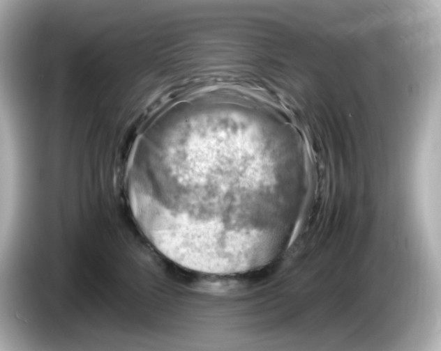 X0000086030712200704091132