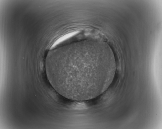 X0000086030715200704091132