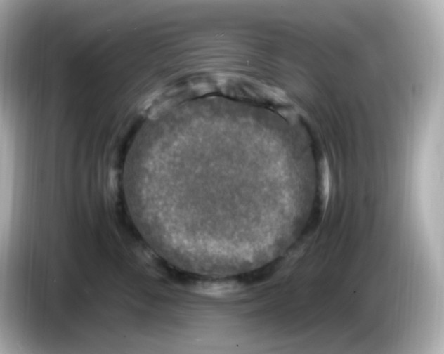 X0000086030716200704091132