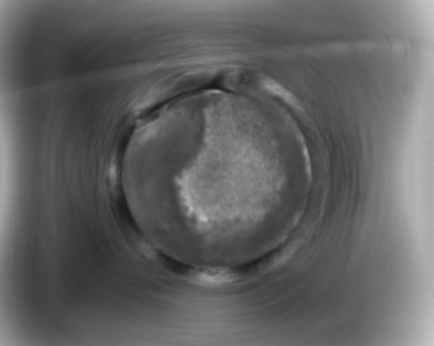 X0000086030720200704091132