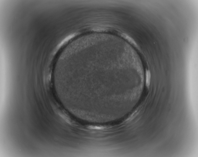 X0000086030723200704091132