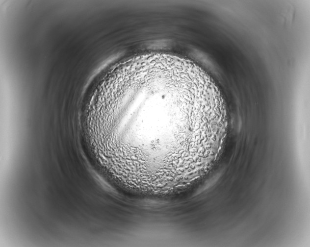 X0000086030725200704091132