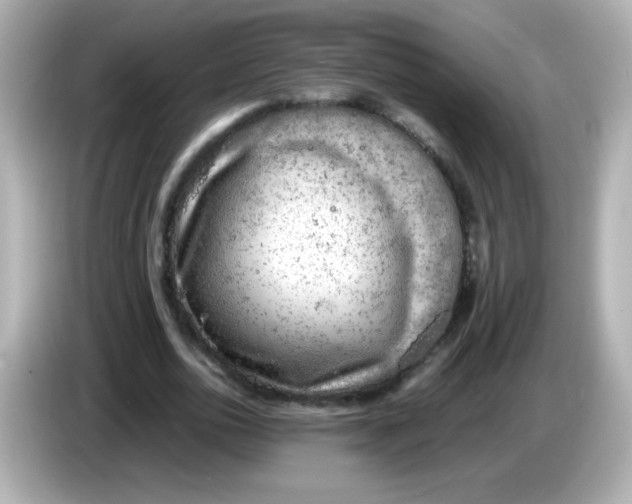 X0000086030726200704091132