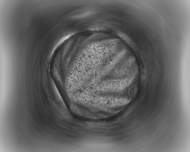 X0000086030727200704091132