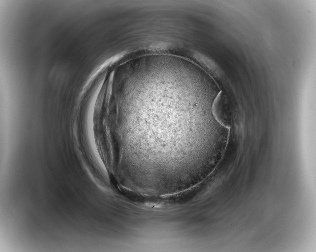 X0000086030728200704091132