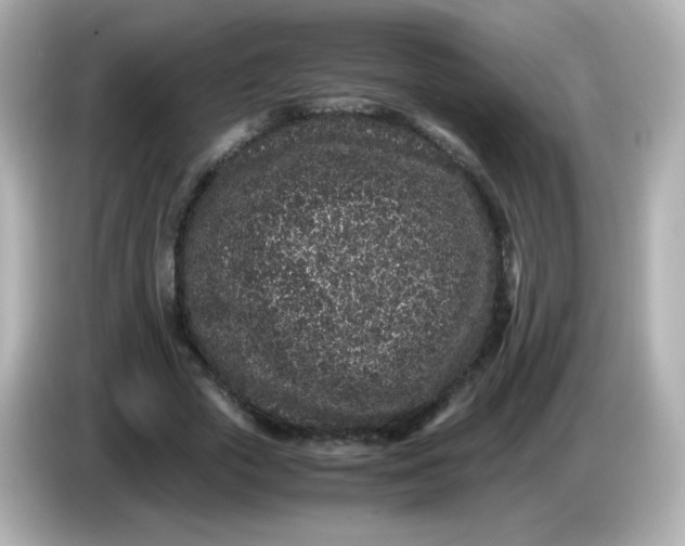 X0000086030729200704091132