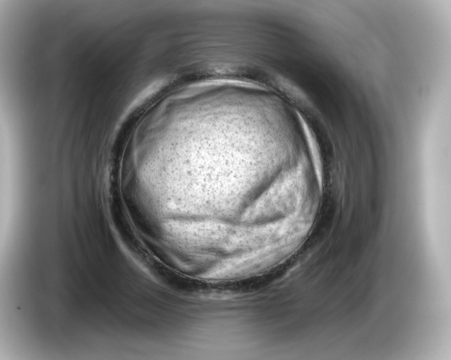 X0000086030730200704091132