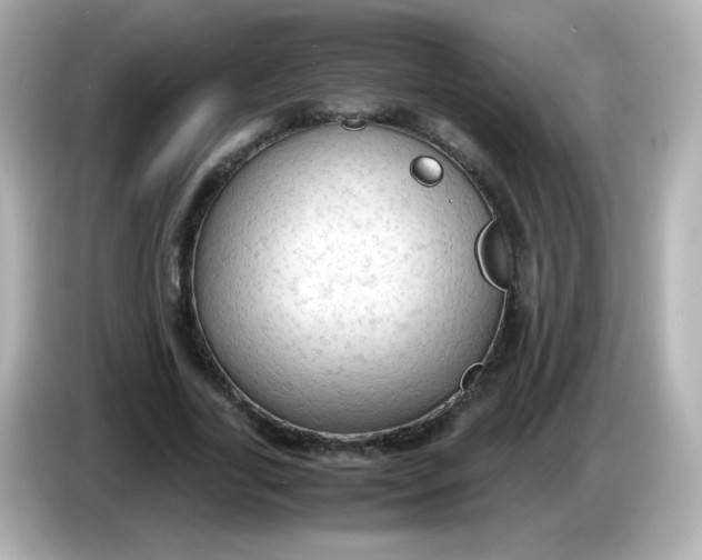 X0000086030731200704091132