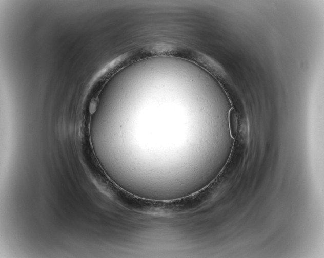 X0000086030732200704091132