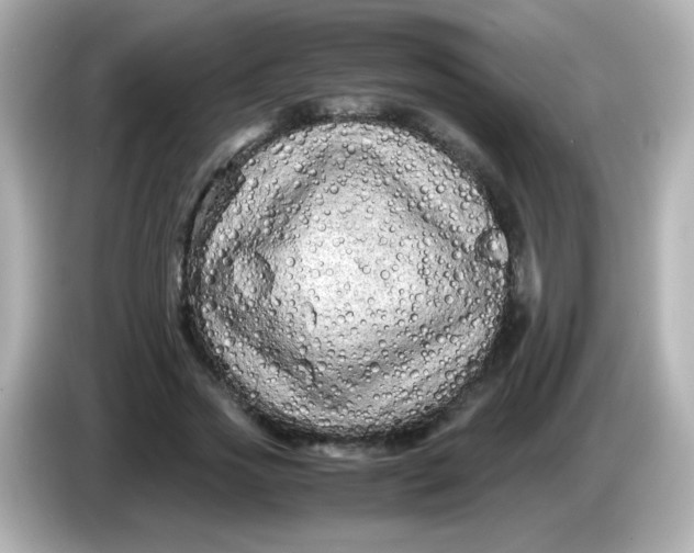 X0000086030733200704091132