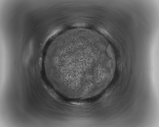 X0000086030735200704091132