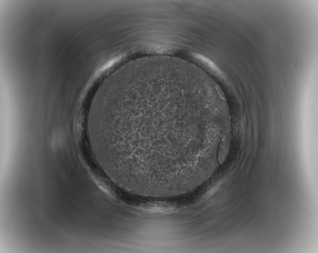 X0000086030736200704091132