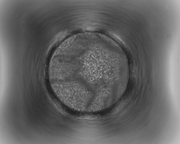 X0000086030738200704091132