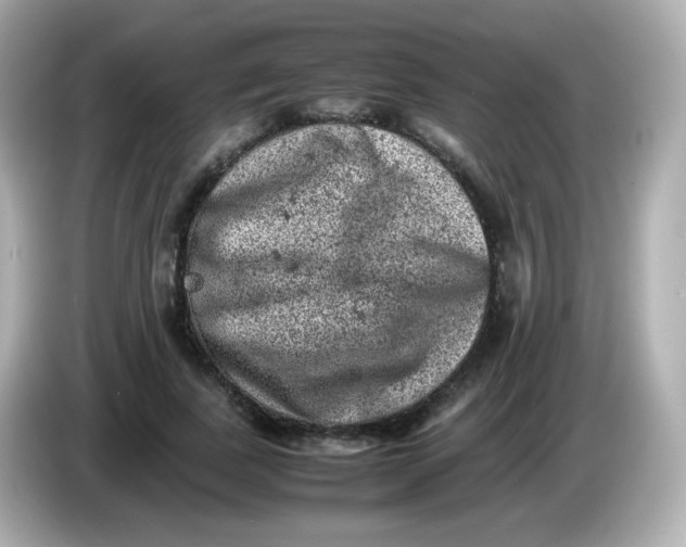 X0000086030739200704091132