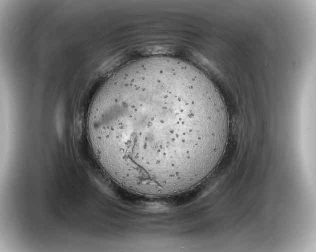 X0000086030741200704091132