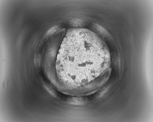 X0000086030744200704091132