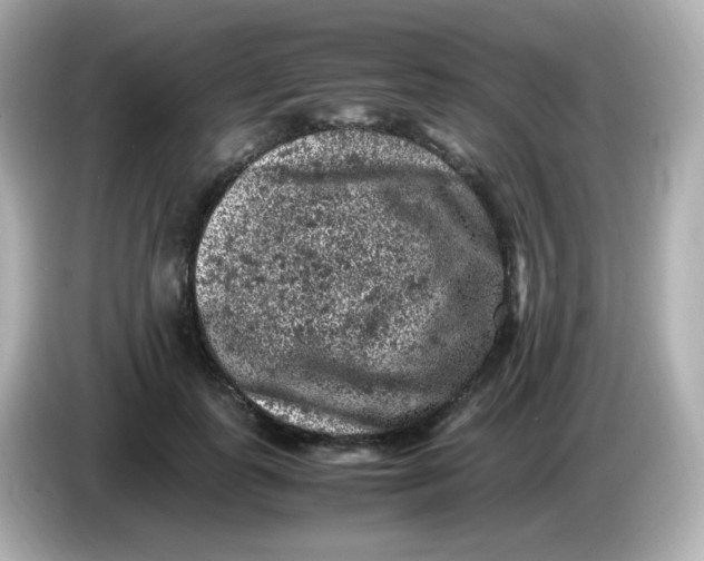 X0000086030747200704091132