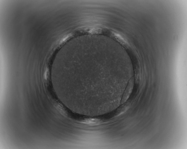 X0000086030748200704091132