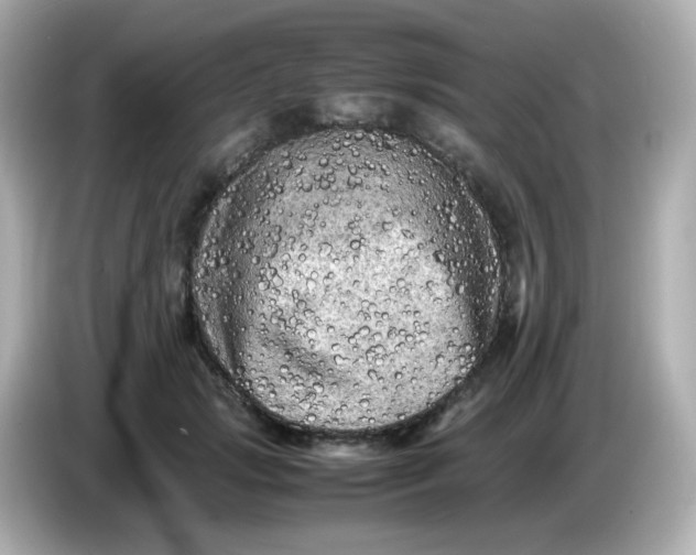 X0000086030749200704091132