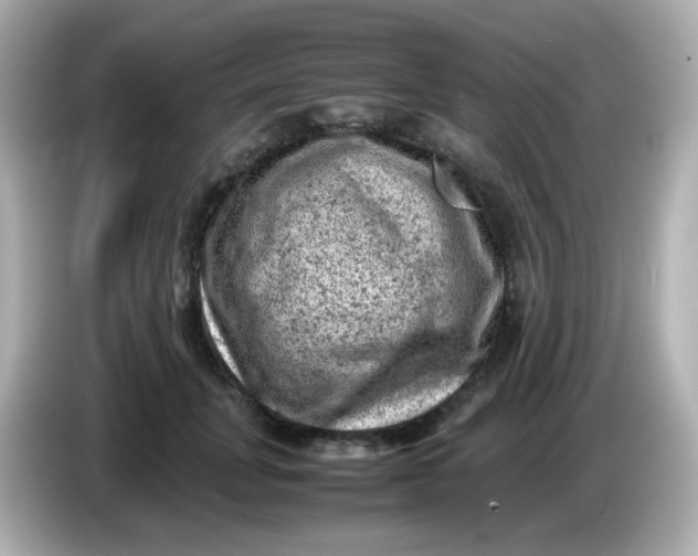 X0000086030751200704091132