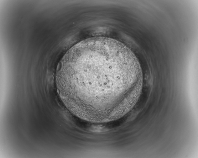 X0000086030753200704091132