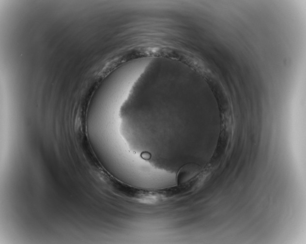 X0000086030754200704091132