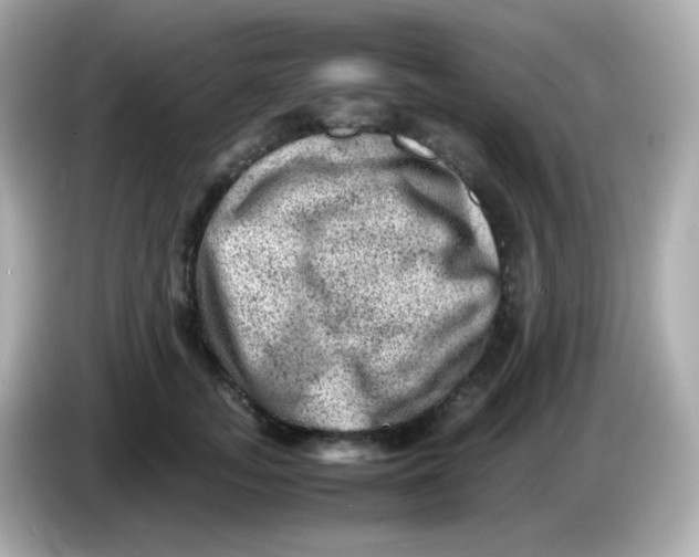 X0000086030755200704091132