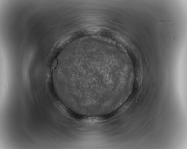 X0000086030758200704091132