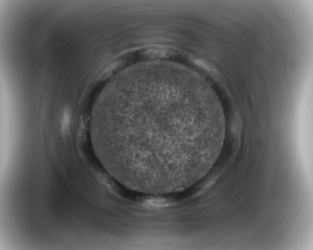 X0000086030759200704091132