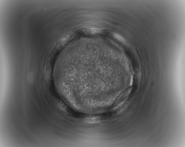 X0000086030760200704091132