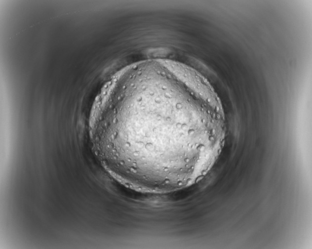 X0000086030761200704091132