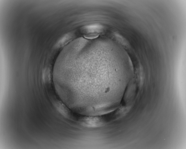 X0000086030762200704091132