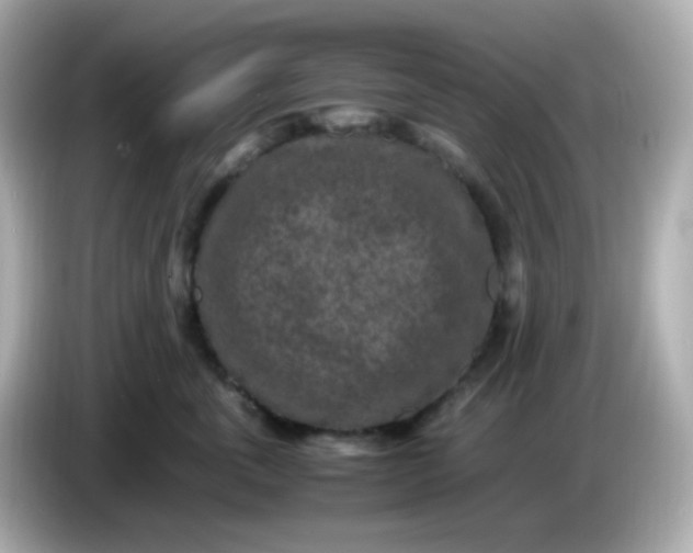 X0000086030763200704091132