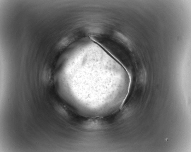 X0000086030764200704091132