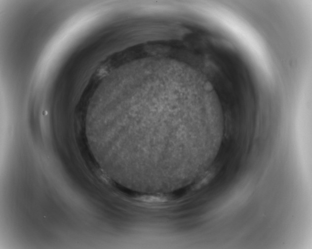 X0000086030765200704091132