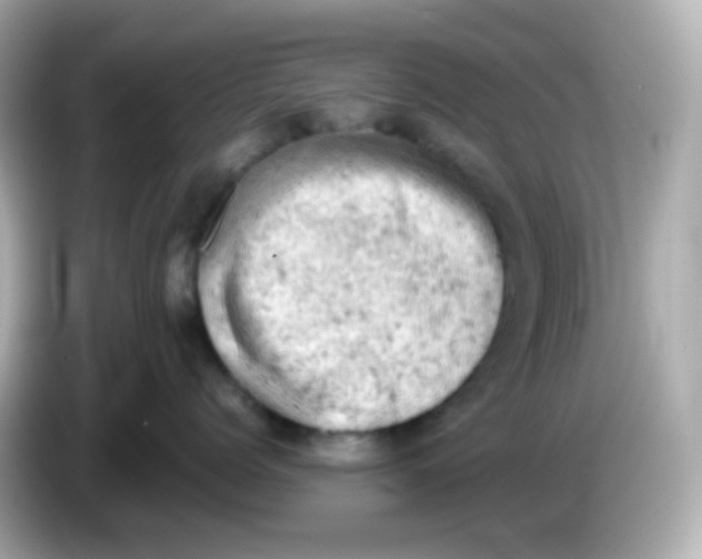 X0000086030768200704091132