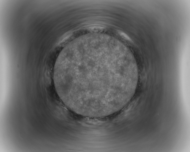 X0000086030774200704091131