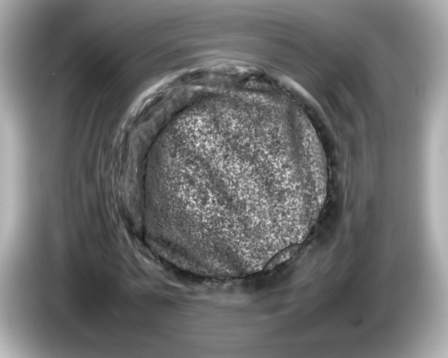 X0000086030775200704091131