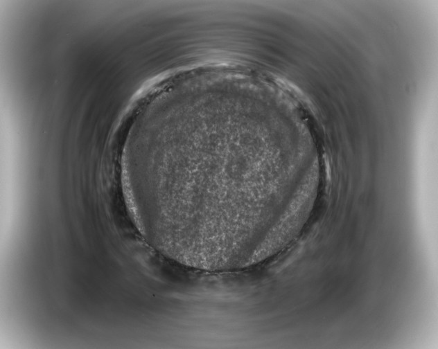 X0000086030776200704091131