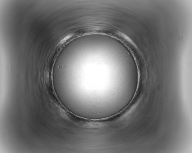 X0000086030777200704091131