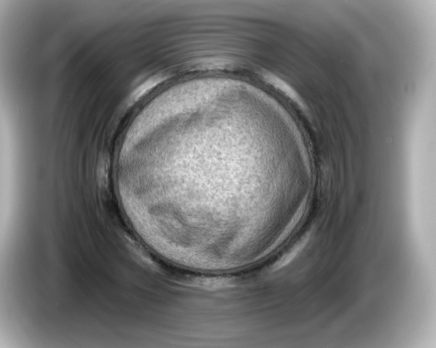 X0000086030778200704091131