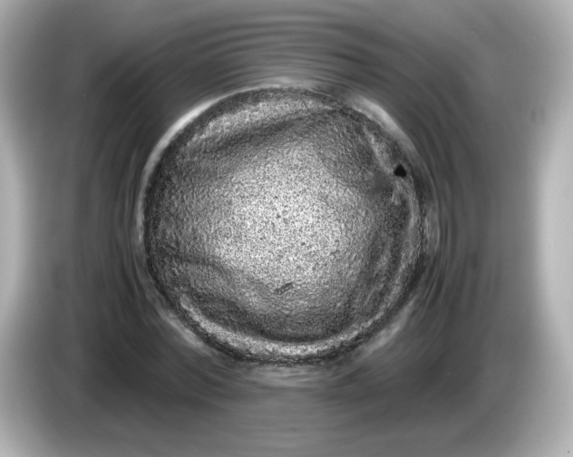 X0000086030780200704091131