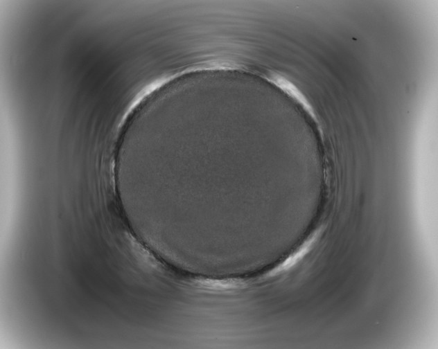 X0000086030781200704091131