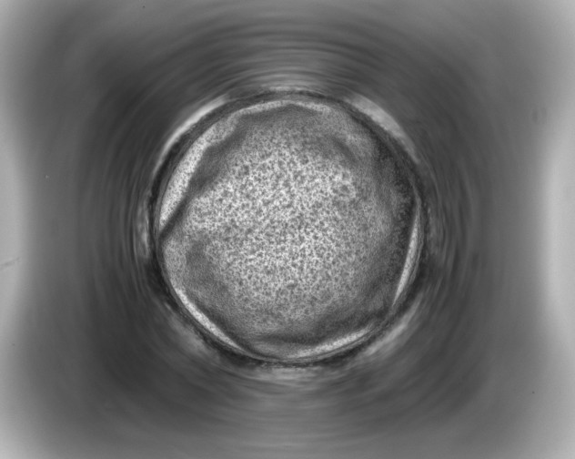 X0000086030782200704091131