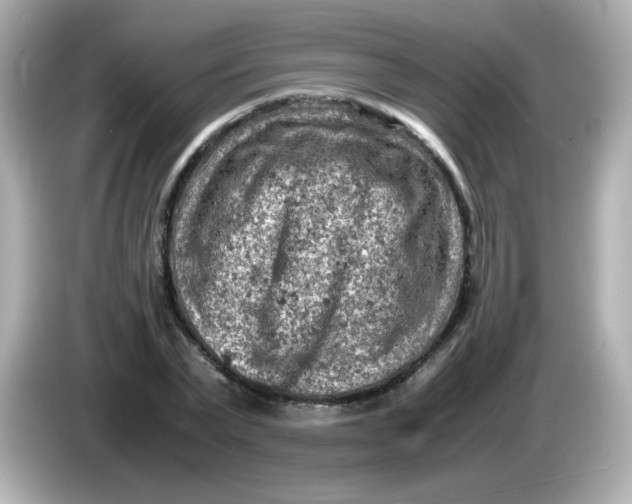 X0000086030783200704091131